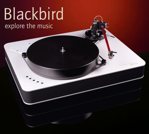 Feickert Blackbird <br/> Platine Vinyle Haut de Gamme